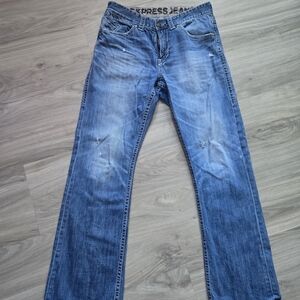 Express Distressed Denim Pants